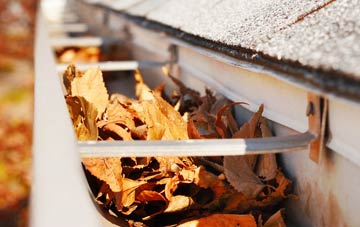 Saxelbye gutter cleaning companies